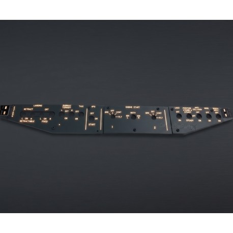 Overhead Lights Panel